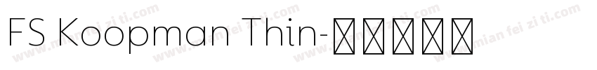 FS Koopman Thin字体转换